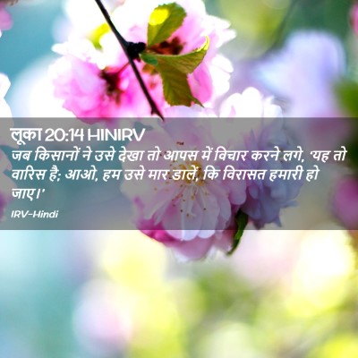 Picture 02 - लूका 20:14 HINIRV - जब किसानों ने उसे - Bible Verse Picture