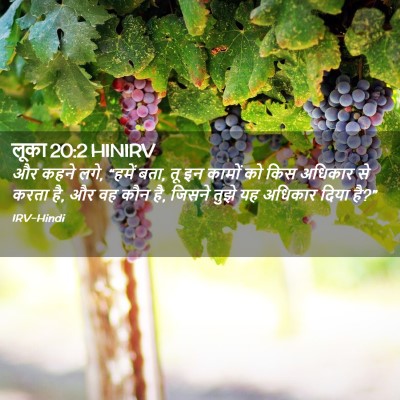Picture 02 - लूका 20:2 HINIRV - और कहने लगे, “हमें - Bible Verse Picture