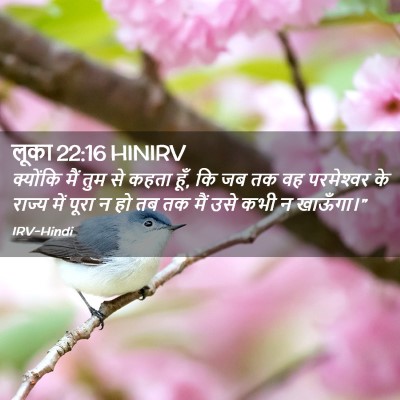Picture 02 - लूका 22:16 HINIRV - क्योंकि मैं तुम से - Bible Verse Picture