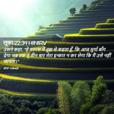 Picture 02 - लूका 22:34 HINIRV - उसने कहा, “हे पतरस - Bible Verse Picture