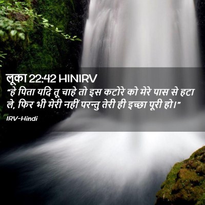 Picture 02 - लूका 22:42 HINIRV - “हे पिता यदि तू - Bible Verse Picture