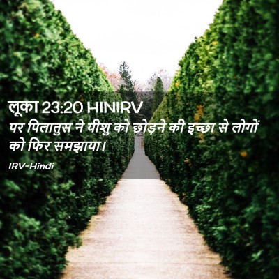 Picture 02 - लूका 23:20 HINIRV - पर पिलातुस ने यीशु - Bible Verse Picture