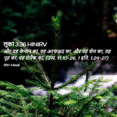 Picture 02 - लूका 3:36 HINIRV - और वह केनान का, वह - Bible Verse Picture