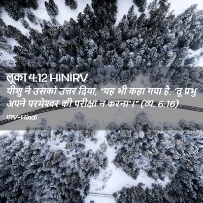 Picture 02 - लूका 4:12 HINIRV - यीशु ने उसको उत्तर - Bible Verse Picture