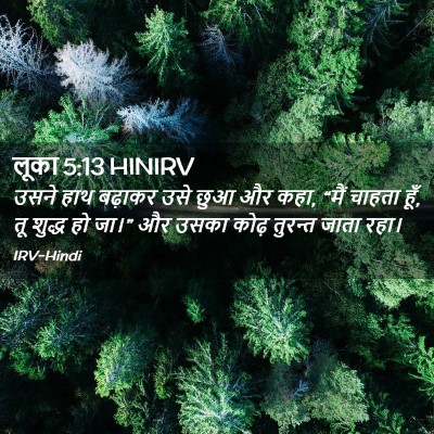 Picture 02 - लूका 5:13 HINIRV - उसने हाथ बढ़ाकर - Bible Verse Picture