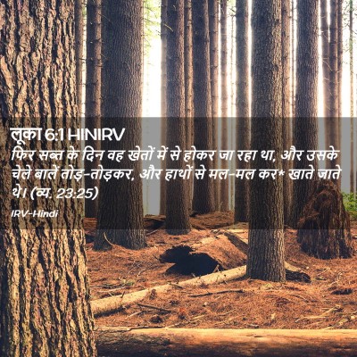Picture 02 - लूका 6:1 HINIRV - फिर सब्त के दिन वह - Bible Verse Picture