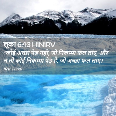 Picture 02 - लूका 6:43 HINIRV - “कोई अच्छा पेड़ - Bible Verse Picture