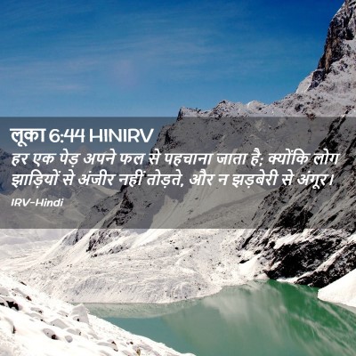 Picture 02 - लूका 6:44 HINIRV - हर एक पेड़ अपने फल - Bible Verse Picture