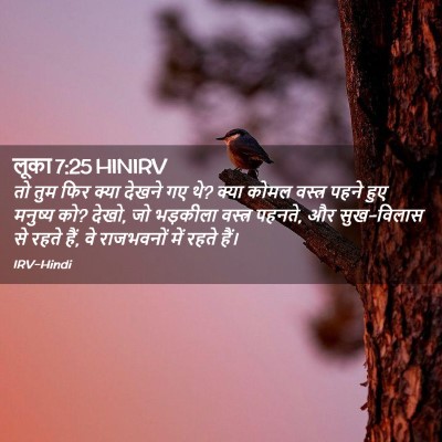 Picture 02 - लूका 7:25 HINIRV - तो तुम फिर क्या - Bible Verse Picture