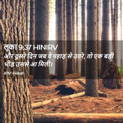 Picture 02 - लूका 9:37 HINIRV - और दूसरे दिन जब वे - Bible Verse Picture