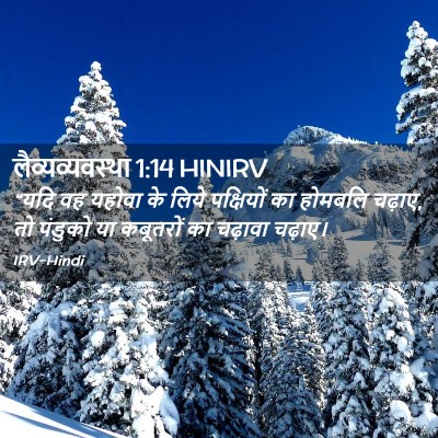 Picture 02 - लैव्यव्यवस्था 1:14 HINIRV - “यदि वह यहोवा के - Bible Verse Picture