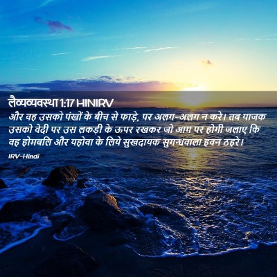 Picture 02 - लैव्यव्यवस्था 1:17 HINIRV - और वह उसको पंखों के - Bible Verse Picture