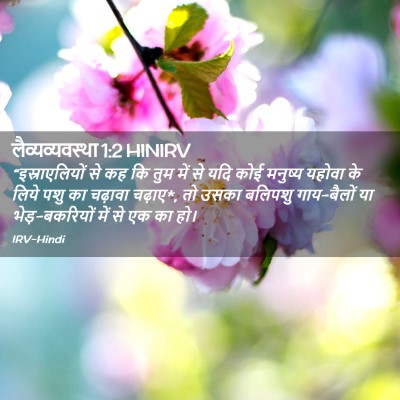 Picture 02 - लैव्यव्यवस्था 1:2 HINIRV - “इस्राएलियों से - Bible Verse Picture