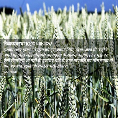 Picture 02 - लैव्यव्यवस्था 10:19 HINIRV - इसका उत्तर हारून - Bible Verse Picture