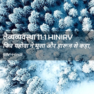 Picture 02 - लैव्यव्यवस्था 11:1 HINIRV - फिर यहोवा ने मूसा - Bible Verse Picture