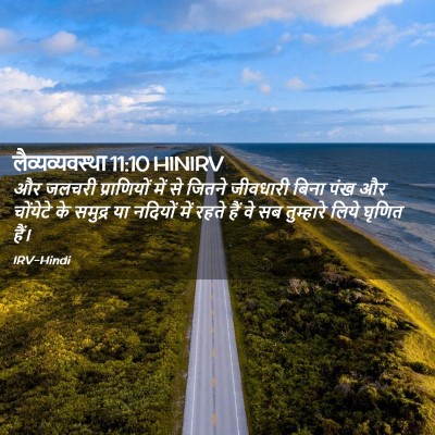 Picture 02 - लैव्यव्यवस्था 11:10 HINIRV - और जलचरी - Bible Verse Picture