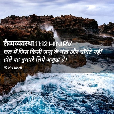 Picture 02 - लैव्यव्यवस्था 11:12 HINIRV - जल में जिस किसी - Bible Verse Picture