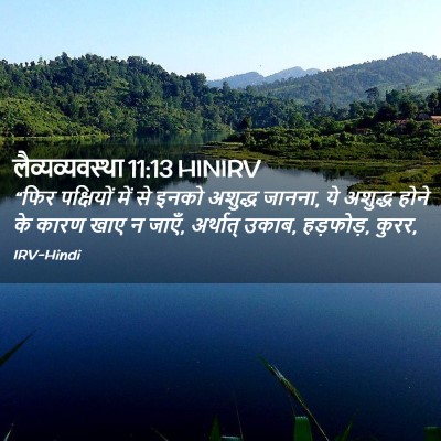 Picture 02 - लैव्यव्यवस्था 11:13 HINIRV - “फिर पक्षियों में - Bible Verse Picture