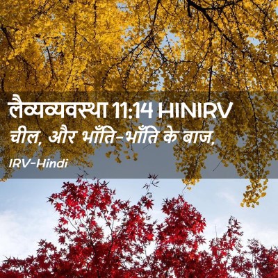 Picture 02 - लैव्यव्यवस्था 11:14 HINIRV - चील, और भाँति-भाँति - Bible Verse Picture