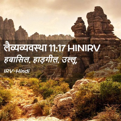 Picture 02 - लैव्यव्यवस्था 11:17 HINIRV - हबासिल, हाड़गील, - Bible Verse Picture