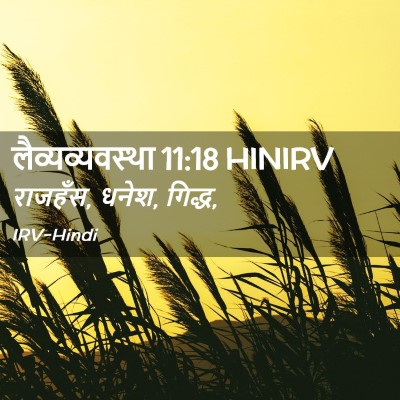 Picture 02 - लैव्यव्यवस्था 11:18 HINIRV - राजहँस, धनेश, - Bible Verse Picture