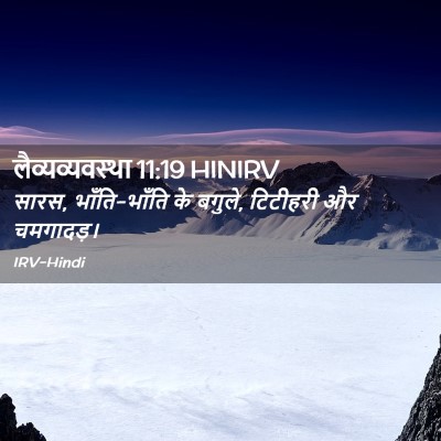 Picture 02 - लैव्यव्यवस्था 11:19 HINIRV - सारस, भाँति-भाँति - Bible Verse Picture