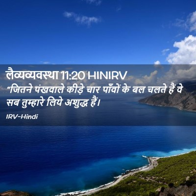Picture 02 - लैव्यव्यवस्था 11:20 HINIRV - “जितने पंखवाले - Bible Verse Picture