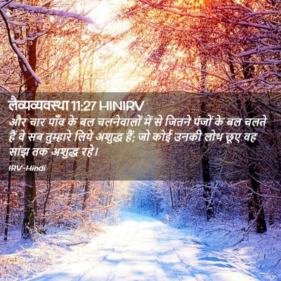 Picture 02 - लैव्यव्यवस्था 11:27 HINIRV - और चार पाँव के बल - Bible Verse Picture