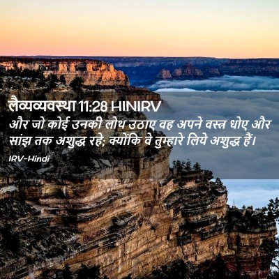 Picture 02 - लैव्यव्यवस्था 11:28 HINIRV - और जो कोई उनकी लोथ - Bible Verse Picture