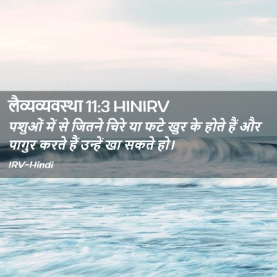 Picture 02 - लैव्यव्यवस्था 11:3 HINIRV - पशुओं में से जितने - Bible Verse Picture