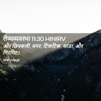 Picture 02 - लैव्यव्यवस्था 11:30 HINIRV - और छिपकली, मगर, - Bible Verse Picture