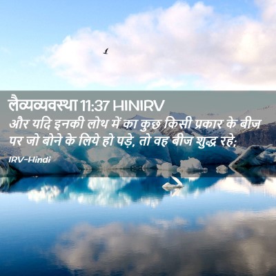 Picture 02 - लैव्यव्यवस्था 11:37 HINIRV - और यदि इनकी लोथ में - Bible Verse Picture