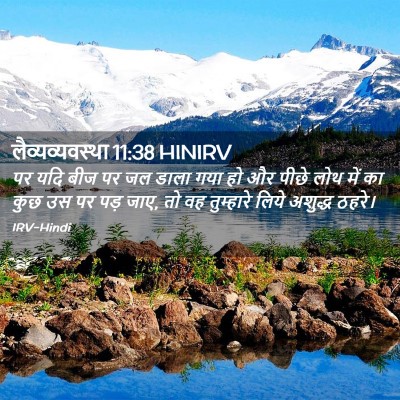 Picture 02 - लैव्यव्यवस्था 11:38 HINIRV - पर यदि बीज पर जल - Bible Verse Picture