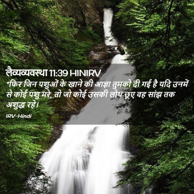 Picture 02 - लैव्यव्यवस्था 11:39 HINIRV - “फिर जिन पशुओं के - Bible Verse Picture
