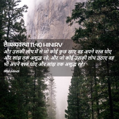 Picture 02 - लैव्यव्यवस्था 11:40 HINIRV - और उसकी लोथ में से - Bible Verse Picture