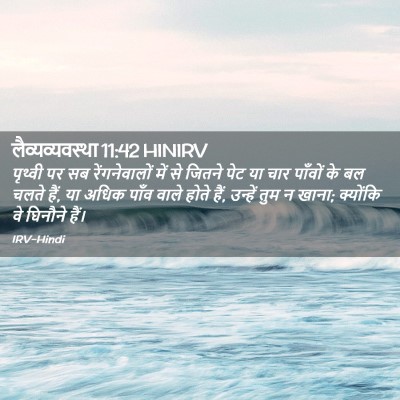 Picture 02 - लैव्यव्यवस्था 11:42 HINIRV - पृथ्वी पर सब - Bible Verse Picture