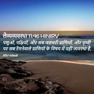 Picture 02 - लैव्यव्यवस्था 11:46 HINIRV - पशुओं, पक्षियों, और - Bible Verse Picture