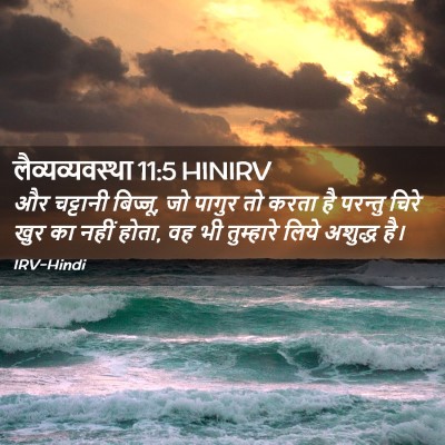 Picture 02 - लैव्यव्यवस्था 11:5 HINIRV - और चट्टानी बिज्जू, - Bible Verse Picture