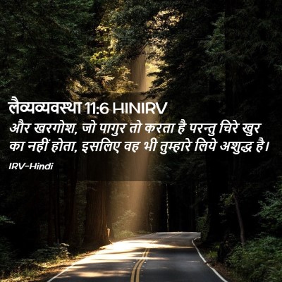 Picture 02 - लैव्यव्यवस्था 11:6 HINIRV - और खरगोश, जो पागुर - Bible Verse Picture