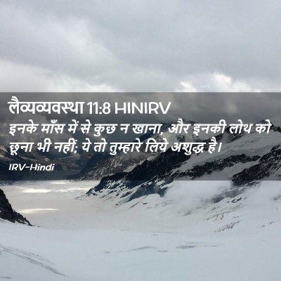 Picture 02 - लैव्यव्यवस्था 11:8 HINIRV - इनके माँस में से - Bible Verse Picture