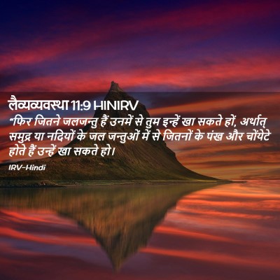 Picture 02 - लैव्यव्यवस्था 11:9 HINIRV - “फिर जितने - Bible Verse Picture