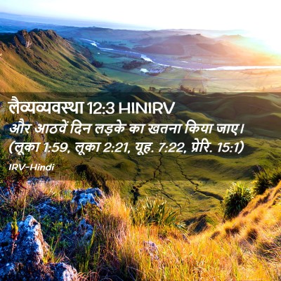 Picture 02 - लैव्यव्यवस्था 12:3 HINIRV - और आठवें दिन लड़के - Bible Verse Picture