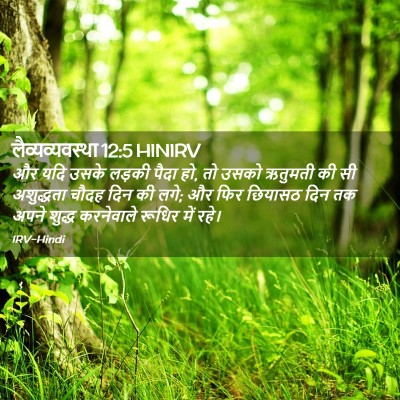 Picture 02 - लैव्यव्यवस्था 12:5 HINIRV - और यदि उसके लड़की - Bible Verse Picture