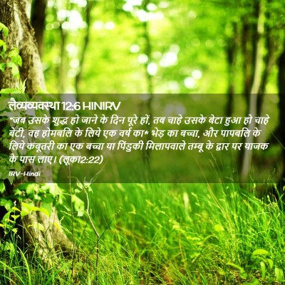 Picture 02 - लैव्यव्यवस्था 12:6 HINIRV - “जब उसके शुद्ध हो - Bible Verse Picture