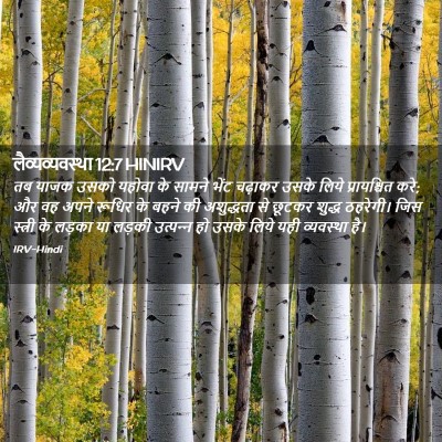 Picture 02 - लैव्यव्यवस्था 12:7 HINIRV - तब याजक उसको यहोवा - Bible Verse Picture