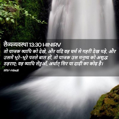 Picture 02 - लैव्यव्यवस्था 13:30 HINIRV - तो याजक व्याधि को - Bible Verse Picture