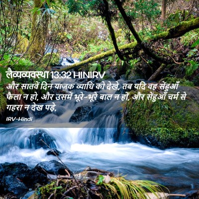 Picture 02 - लैव्यव्यवस्था 13:32 HINIRV - और सातवें दिन याजक - Bible Verse Picture