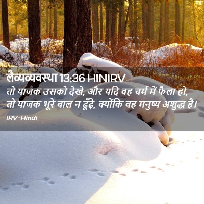 Picture 02 - लैव्यव्यवस्था 13:36 HINIRV - तो याजक उसको देखे, - Bible Verse Picture