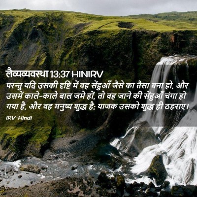 Picture 02 - लैव्यव्यवस्था 13:37 HINIRV - परन्तु यदि उसकी - Bible Verse Picture