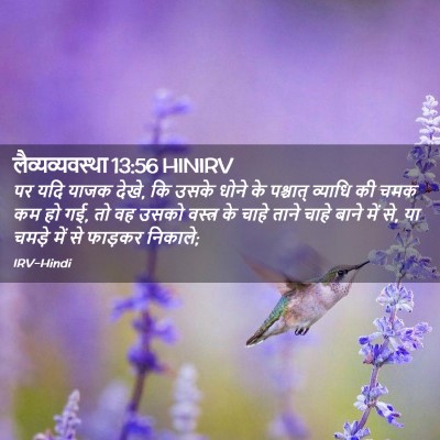 Picture 02 - लैव्यव्यवस्था 13:56 HINIRV - पर यदि याजक देखे, - Bible Verse Picture